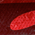 Fish Scales