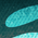 Fish Scales