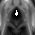 Natural Hood Flame design element is the largest, high resolution images available! Industry leading digital imaging from Aurora Graphics offers more than beauty and functionality these images are created in a very large format with perfection in mind. Fire, Flames, Firefighter. High Resolution Design Graphics Image