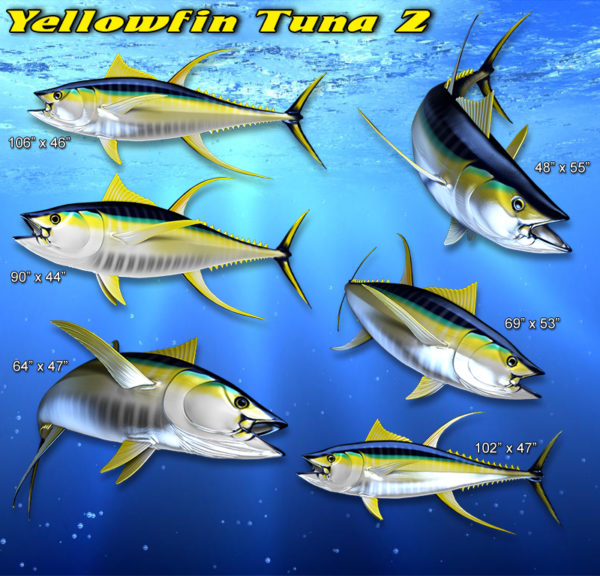 Yellowfin Tuna Fish