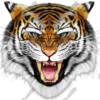Tiger Vehicle Wrap Design — Large Scale Artwork for Wide Format Printing | Categories: PIK6 Everyday, Nature