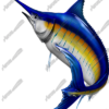 Blue Marlin
