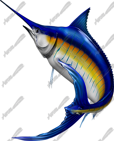 Blue Marlin