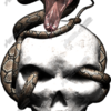 Snake Strike 1 Vehicle Wrap Design — Large Scale Artwork for Wide Format Printing | Categories: PIK6 Everyday, Skulls