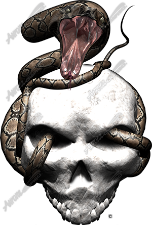 Snake Strike 1 Vehicle Wrap Design — Large Scale Artwork for Wide Format Printing | Categories: PIK6 Everyday, Skulls
