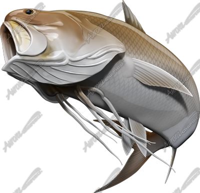 King Threadfin