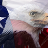 Texas Flag Eagle Vehicle Wrap Design — Large Scale Artwork for Wide Format Printing | Categories: Flags