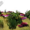 Coral Vehicle Wrap Design — Large Scale Artwork for Wide Format Printing | Categories: Nature