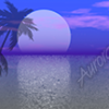 Palm Tree Moon Vehicle Wrap Design — Large Scale Artwork for Wide Format Printing | Categories: Nature