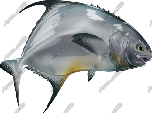 Permit