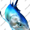 Giant Trevally