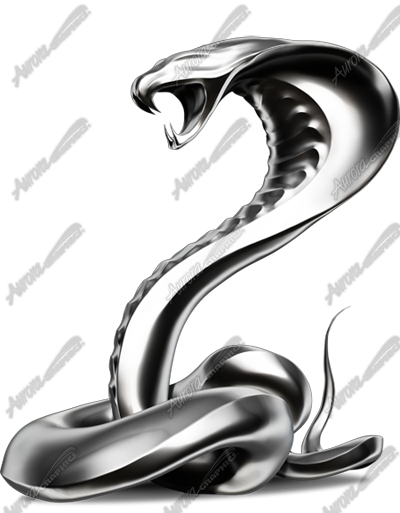 Cobra - Aurora Graphics