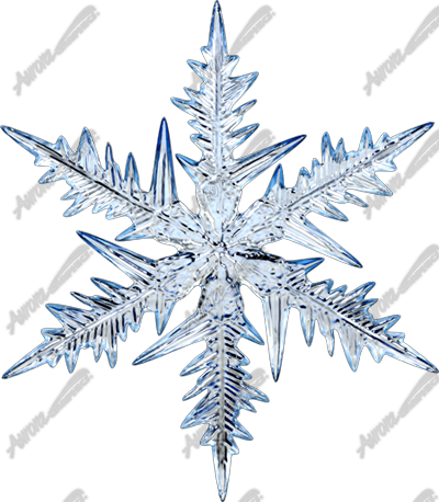 Snowflake Vehicle Wrap Design — Large Scale Artwork for Wide Format Printing | Categories: Commercial