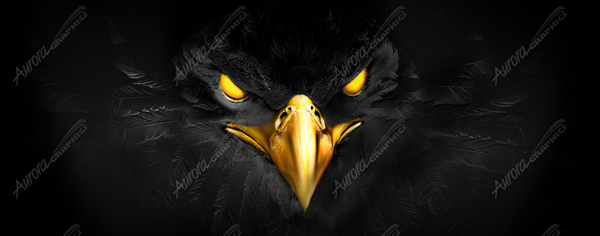 Black Eagle
