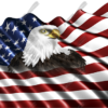 Waving American Flag Eagle Head Small Cloth