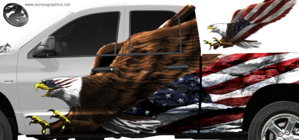 American Screaming Eagle Bald Eagle