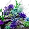 Coral 2