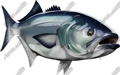 Bluefish