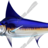 Swordfish