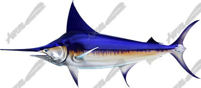 Swordfish