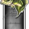 Largemouth Bass Bed Band 2
