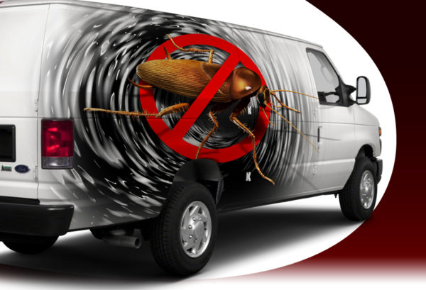 Cockroach 3 Vehicle Wrap Design — Large Scale Artwork for Wide Format Printing | Categories: PIK6 Everyday, Commercial, Industry, Nature