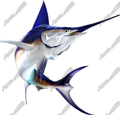 Swordfish