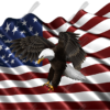 Waving American Flag Flying Eagle