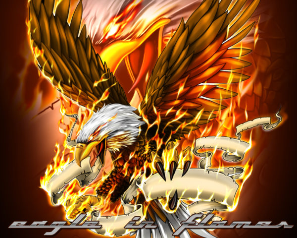 Bald Eagle in Flames