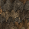 Leather Hides
