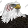 Eagle Headshot Flag