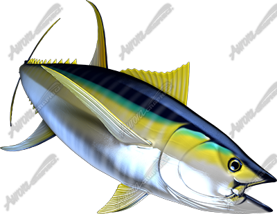 Yellowfin Tuna