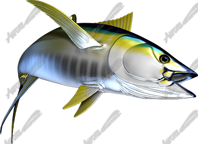 Yellowfin Tuna