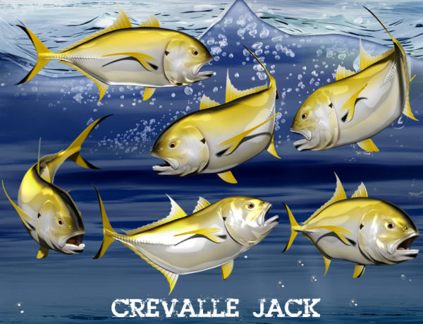 Crevalle Jack 1 Vehicle Wrap Design — Large Scale Artwork for Wide Format Printing | Categories: PIK6 Everyday, Fishing
