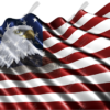 Waving American Flag Eagle Head Small 3 Cloth
