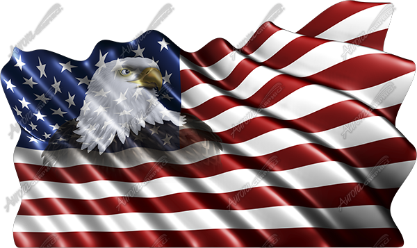Waving American Flag Eagle Head Small 3 Cloth