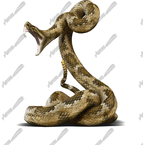 Dont Tread On Me 2 Gadsden Flag Rattlesnake snake strike banner graphic Revolutionary Army Patriotic image. Snake, AR-15, Rifle, Rattlesnake. CutContour Graphics Cut Contour Design Cut File Print/Cut Print Cut. High Resolution Design Graphics Image.