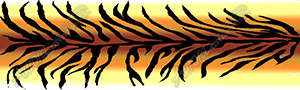 Tiger Stripes Vehicle Wrap Design — Large Scale Artwork for Wide Format Printing | Categories: Animal Textures, Textures & Fills, Nature