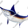 Swordfish