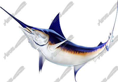 Swordfish
