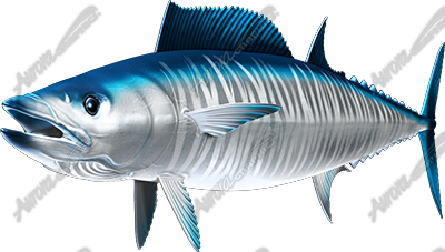 Wahoo