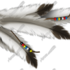 Ornamantal Feathers Vehicle Wrap Design — Large Scale Artwork for Wide Format Printing | Categories: PIK6 Everyday, Nature