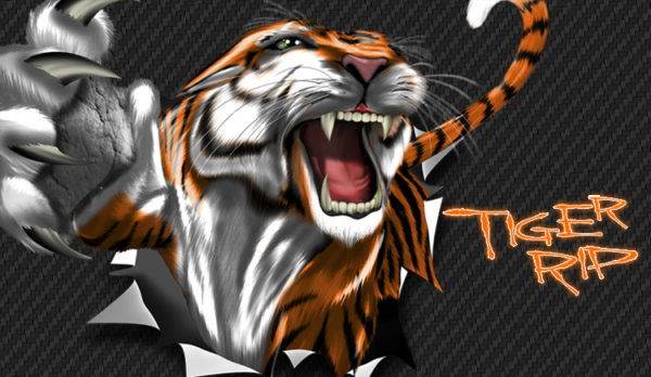 Tiger Rip Vehicle Wrap Design — Large Scale Artwork for Wide Format Printing | Categories: PIK6 Everyday, Nature