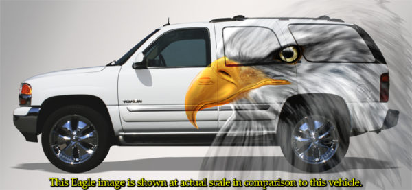Eagle Headshot II Vehicle Wrap Design — Large Scale Artwork for Wide Format Printing | Categories: Patriotic, PIK6 Everyday, Nature