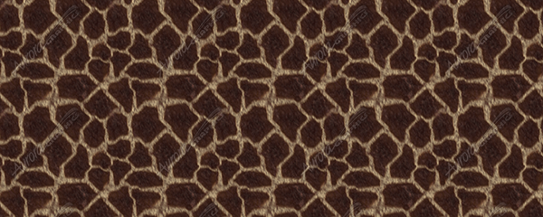 Giraffe Hide