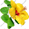 Hibiscus Yellow & Red 4 Vehicle Wrap Design — Large Scale Artwork for Wide Format Printing | Categories: Nature