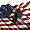 Waving American Flag Flying Eagle Cloth