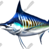 Striped Marlin