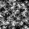 Paint Splatters features a dynamic and chaotic array of high-contrast black and white paint splatters. The abstract composition is densely packed with erratic drips