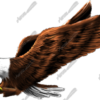 Screaming Eagle captures the fierce energy and raw presence of an American bald eagle mid-attack. With its wings spread wide and talons extended, this high-resolution digital illustration delivers a bold and commanding visual perfect for patriotic displays, fleet graphics, or custom signage. The eagle's head is turned slightly, its beak open in a shriek of dominance, emphasizing the power and spirit it symbolizes.